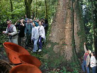 Catarare & drumetii